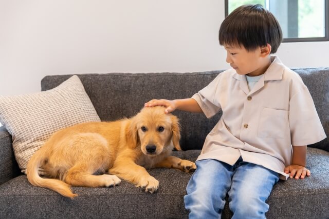 ソファーに座っている子どもと犬