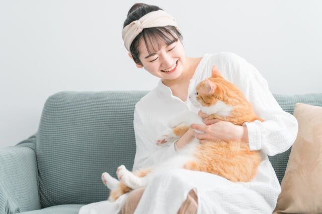 ソファに座り猫と遊ぶ女性